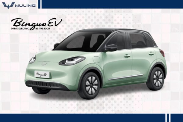 Binguo EV